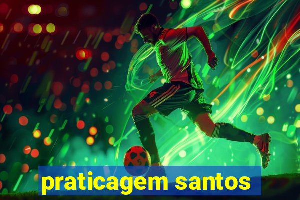 praticagem santos