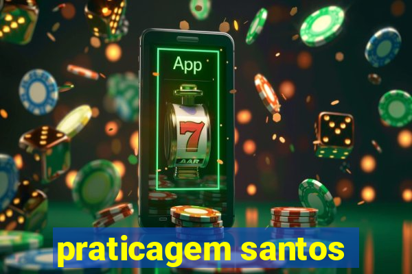 praticagem santos