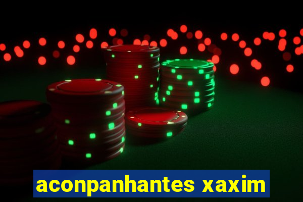 aconpanhantes xaxim