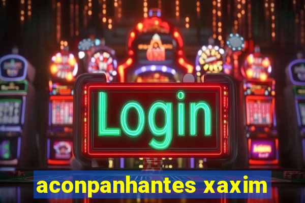 aconpanhantes xaxim