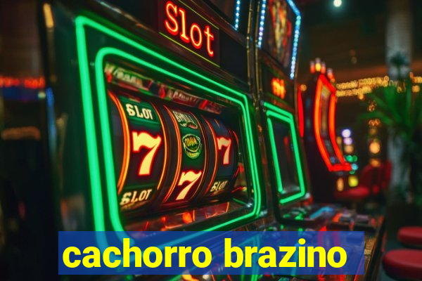 cachorro brazino