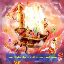 coelhinha do brasil acompanhante