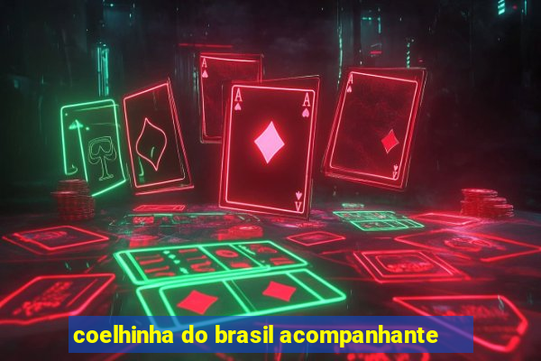 coelhinha do brasil acompanhante