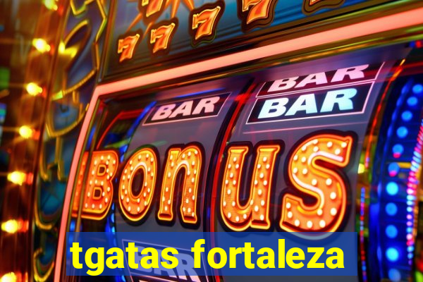 tgatas fortaleza