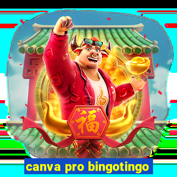 canva pro bingotingo