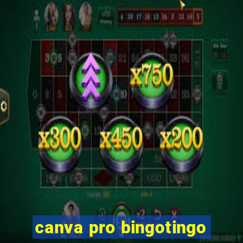 canva pro bingotingo