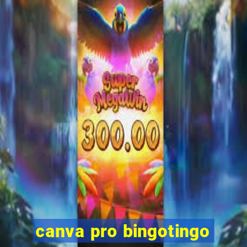 canva pro bingotingo