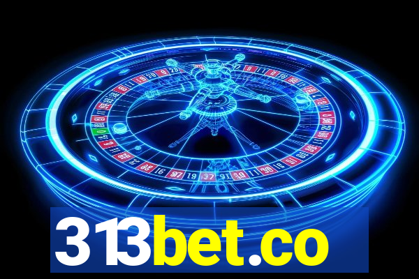 313bet.co