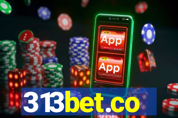 313bet.co