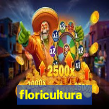 floricultura juazeiro bahia