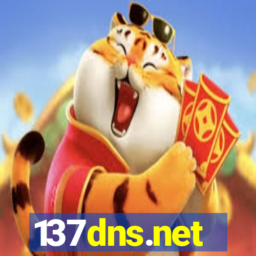 137dns.net