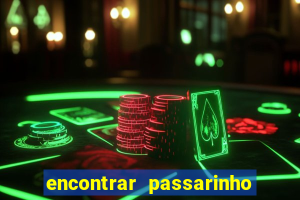 encontrar passarinho morto significado