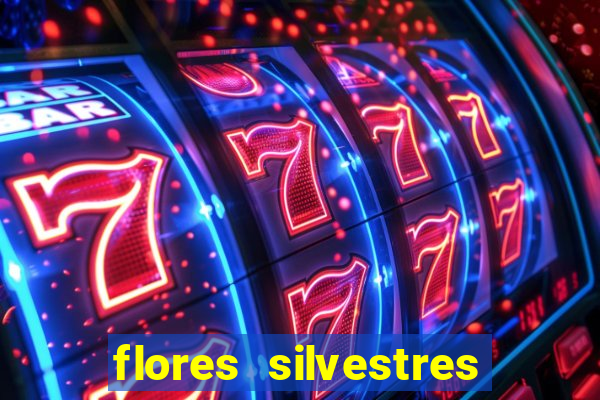 flores silvestres desbravadores desbravadores 25