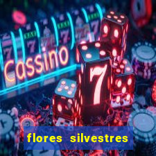 flores silvestres desbravadores desbravadores 25