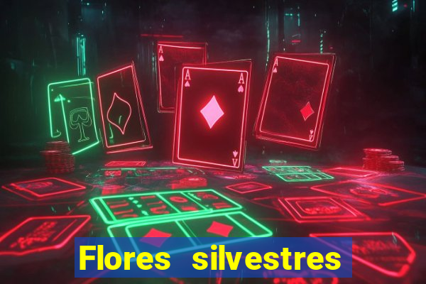 Flores silvestres brasileiras brasileiras flores silvestres nomes e imagens