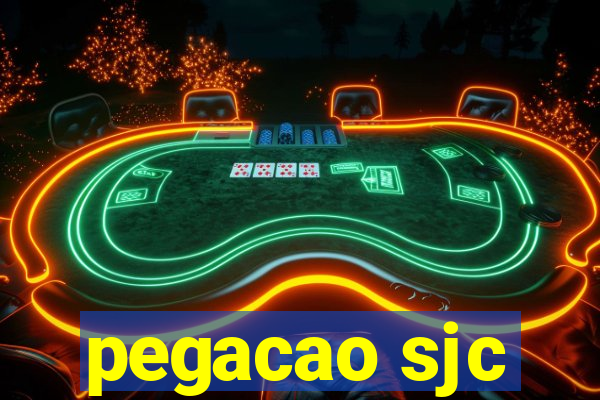 pegacao sjc