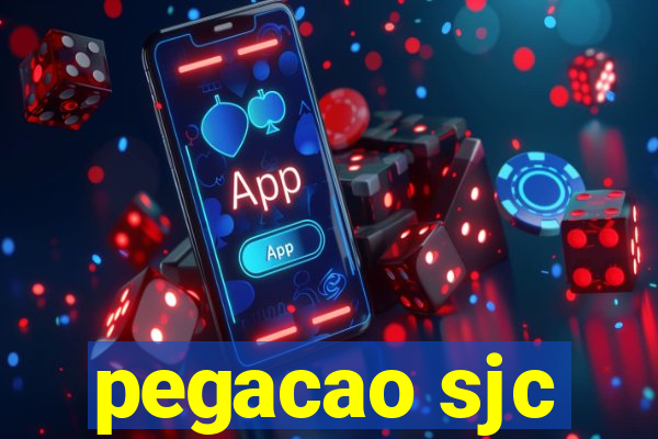 pegacao sjc