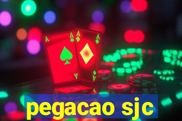 pegacao sjc