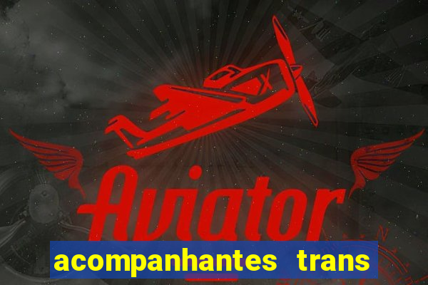 acompanhantes trans baixada fluminense