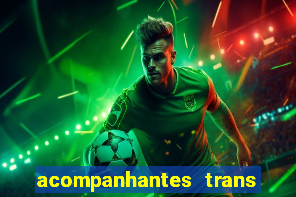 acompanhantes trans baixada fluminense