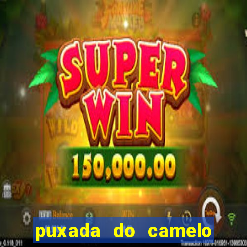 puxada do camelo no jogo do bicho