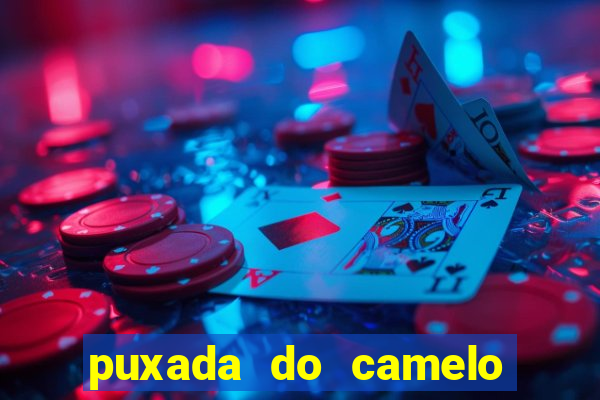 puxada do camelo no jogo do bicho