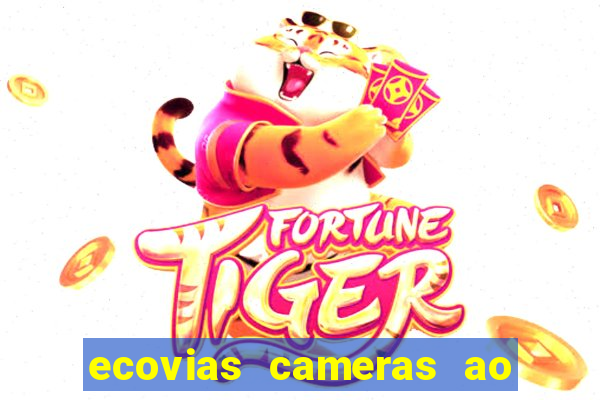 ecovias cameras ao vivo santos