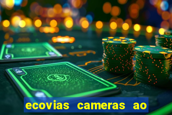 ecovias cameras ao vivo santos