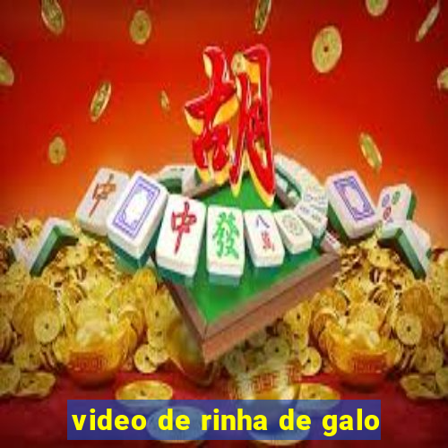 video de rinha de galo