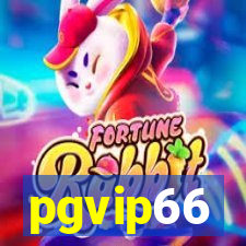 pgvip66