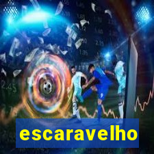 escaravelho significado espiritual