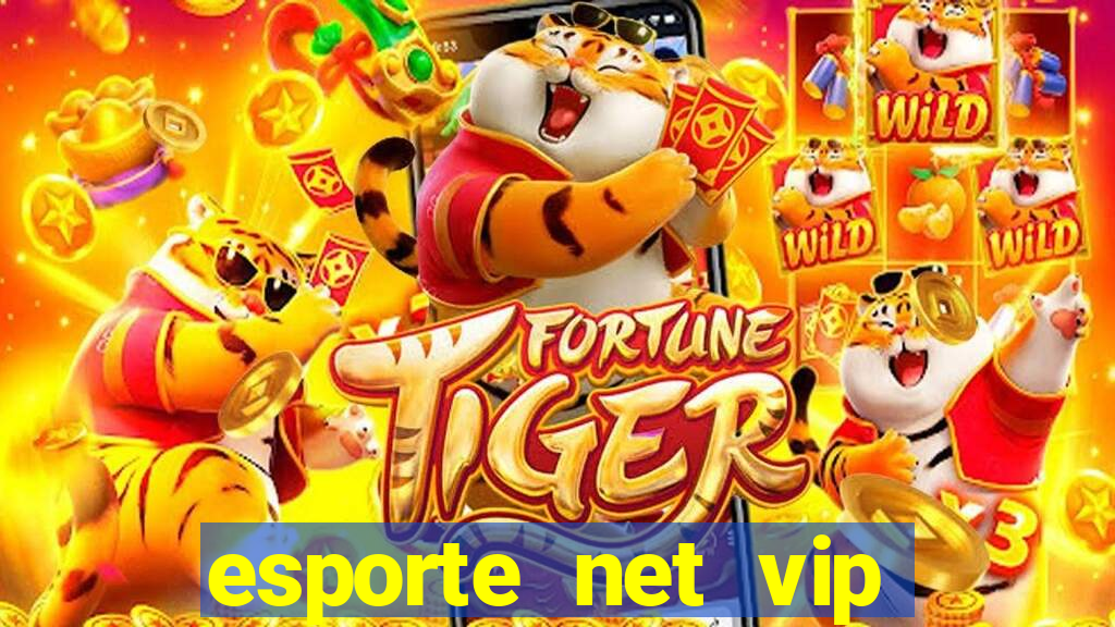 esporte net vip bet apostas