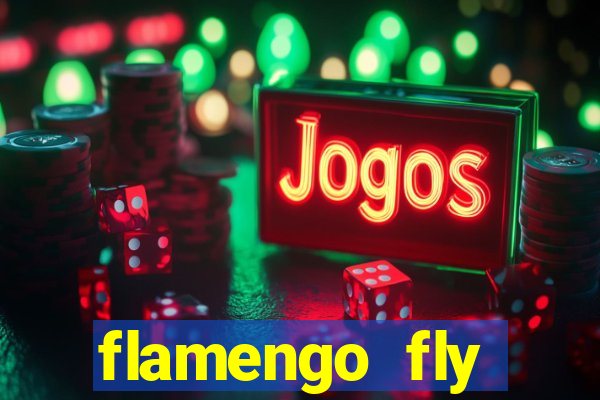 flamengo fly emirates ultimas noticias