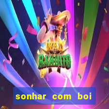 sonhar com boi jogo do bicho