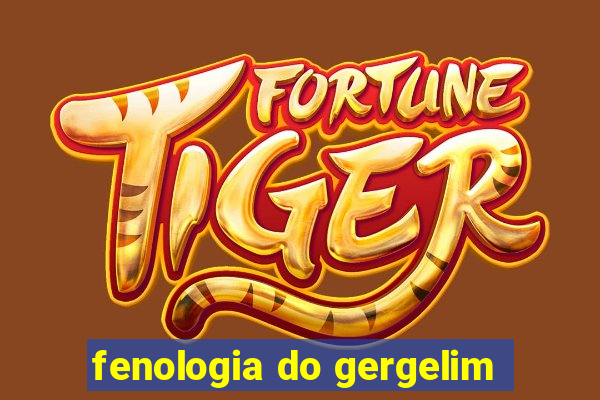 fenologia do gergelim