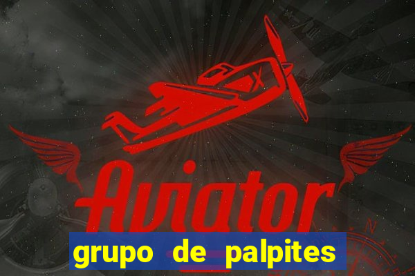 grupo de palpites de futebol telegram