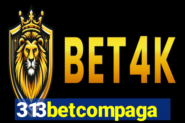 313betcompaga