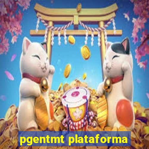 pgentmt plataforma