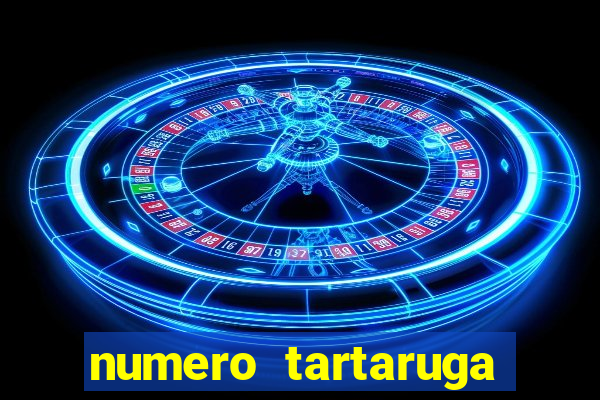 numero tartaruga jogo do bicho