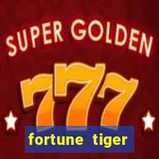 fortune tiger cassino pix