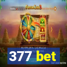 377 bet