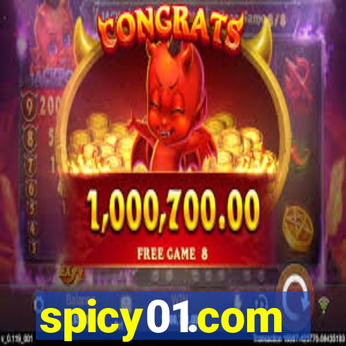 spicy01.com