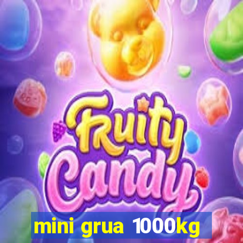 mini grua 1000kg