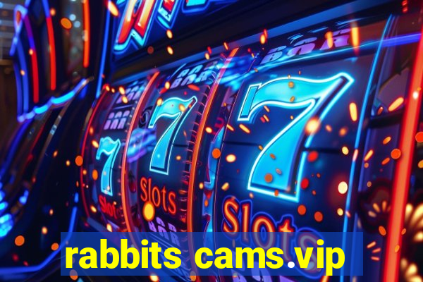 rabbits cams.vip