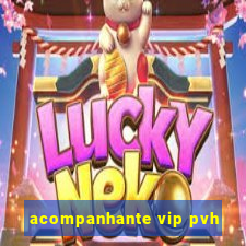 acompanhante vip pvh