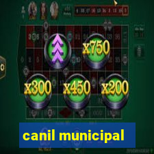 canil municipal