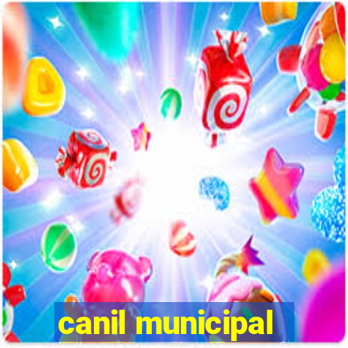 canil municipal