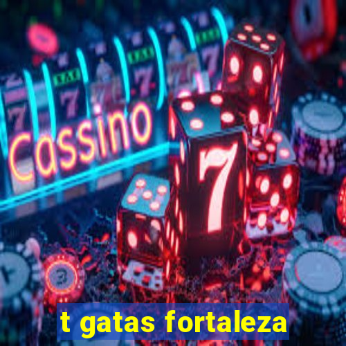 t gatas fortaleza