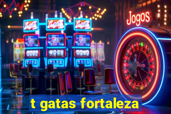 t gatas fortaleza