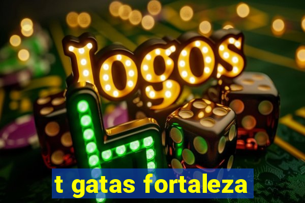 t gatas fortaleza